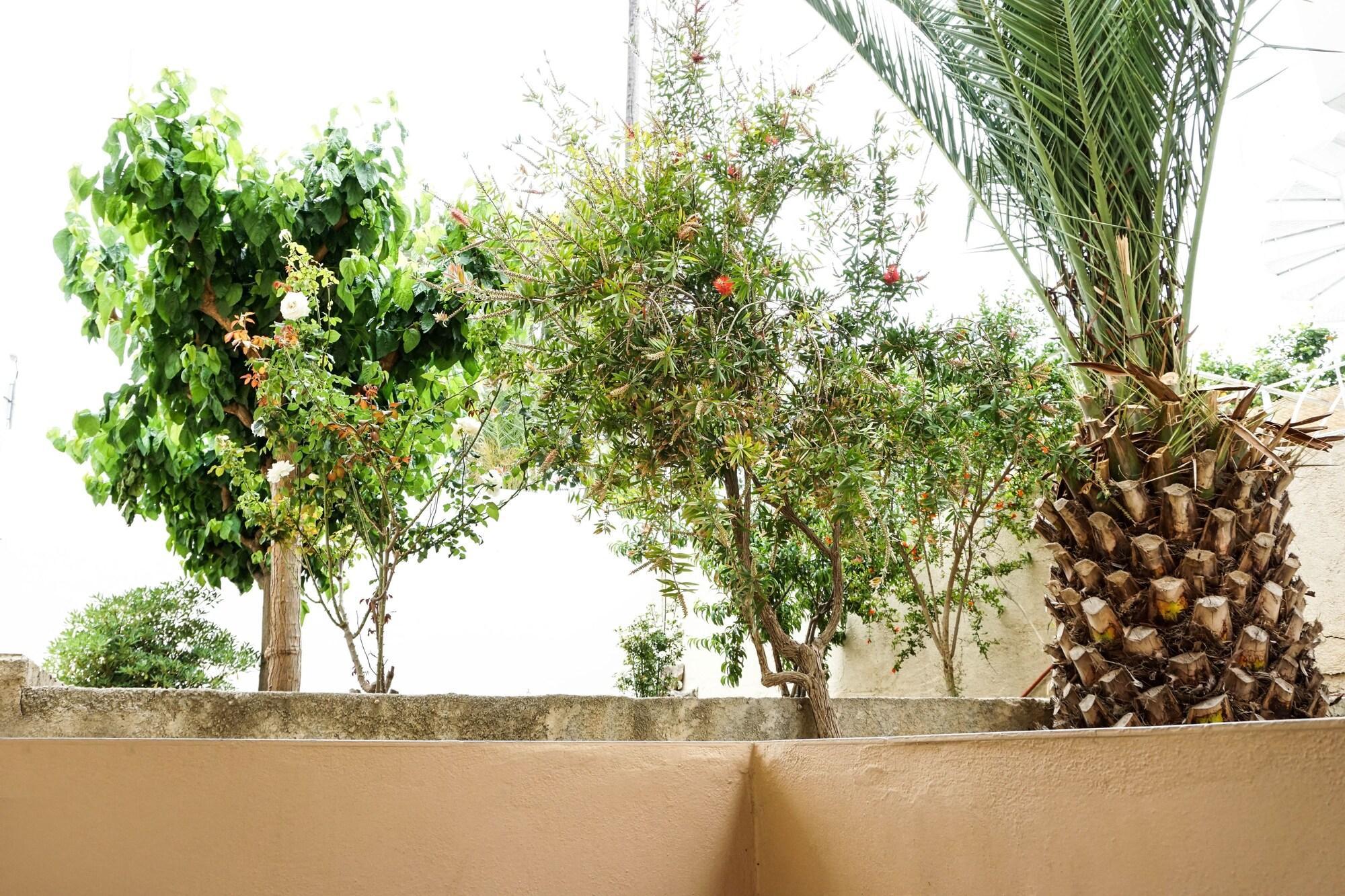Dioni Hotel Adelianos Kampos Buitenkant foto